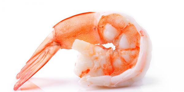 Scampi & Meeresfrüchte